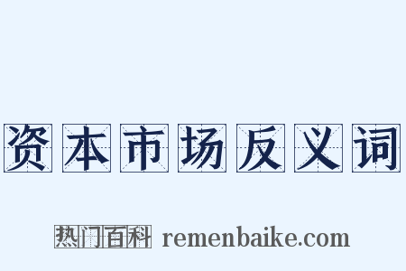 资本市场反义词是什么意思的图片